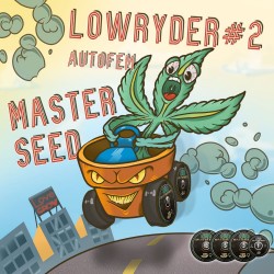 Auto Lowryder#2 feminised (Master-Seed)