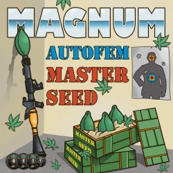 Auto Magnum feminised (Master-Seed)