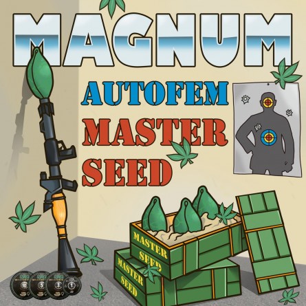 Семечко Auto Magnum от Master-Seed Испания