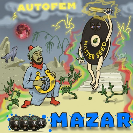 Семечко Auto Mazar от Master-Seed Испания
