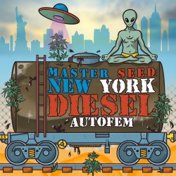 Auto New York Diesel feminised (Master-Seed)