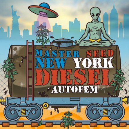 Насіннячко Auto New York Diesel від Master-Seed Іспанія