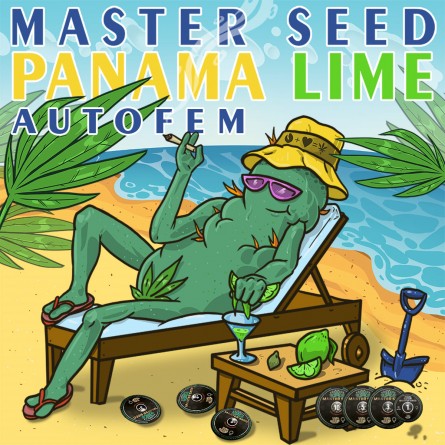 Семечко Auto Panama Lime от Master-Seed Испания