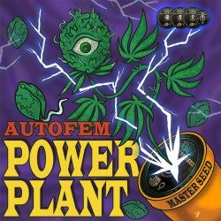 Auto Power Plant feminised (Master-Seed)