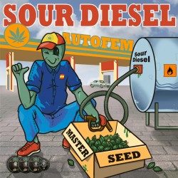 Auto Sour Diesel feminised (Master-Seed)