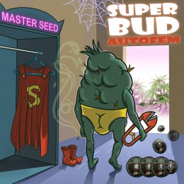 Auto Super Bud feminised (Master-Seed)