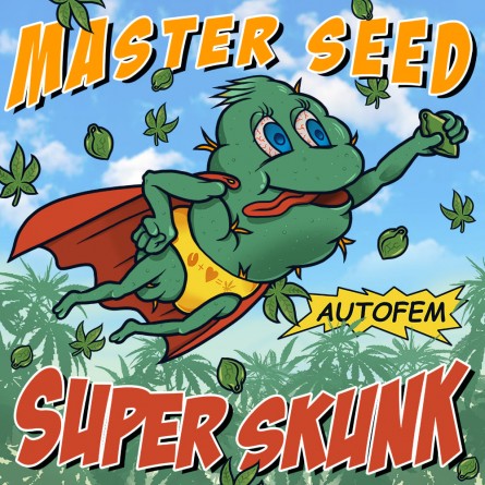 Семечко Auto Super Skunk от Master-Seed Испания