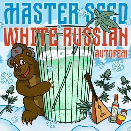 Насіннячко Auto White Russian від Master-Seed Іспанія