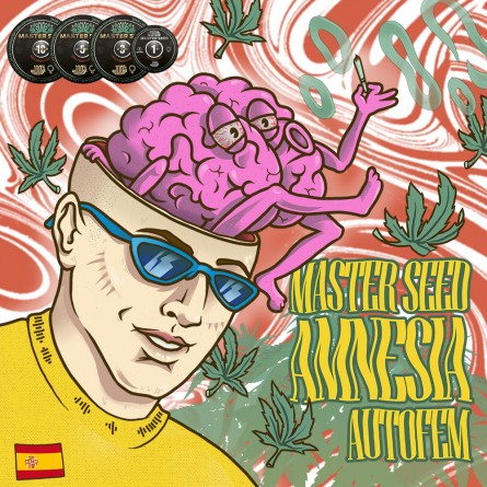 Семечко Auto Amnesia от Master-Seed Испания