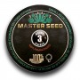 Семечко Auto Big Bud от Master-Seed Испания