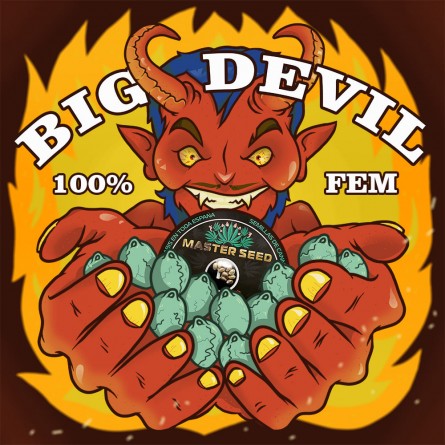 Насіннячко Big Devil від Master-Seed Іспанія