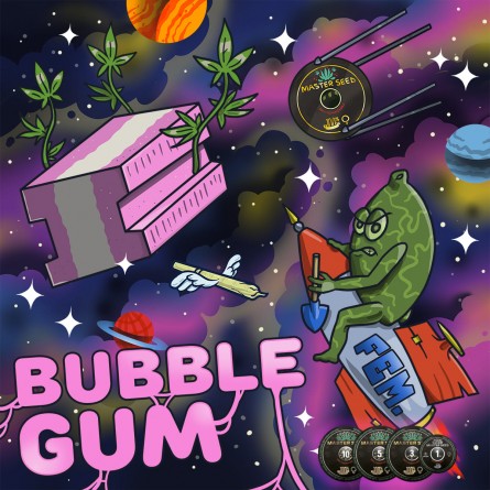 Насіннячко Bubble Gum від Master-Seed Іспанія
