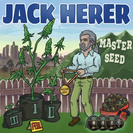 Насіннячко Jack Herer від Master-Seed Іспанія